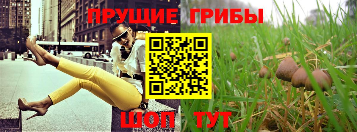 Галлюциногенные грибы Magic Shrooms Асбест