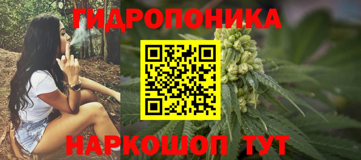 Марихуана план  Бошки Шишки OG Kush  Вход с VPN  Асбест 